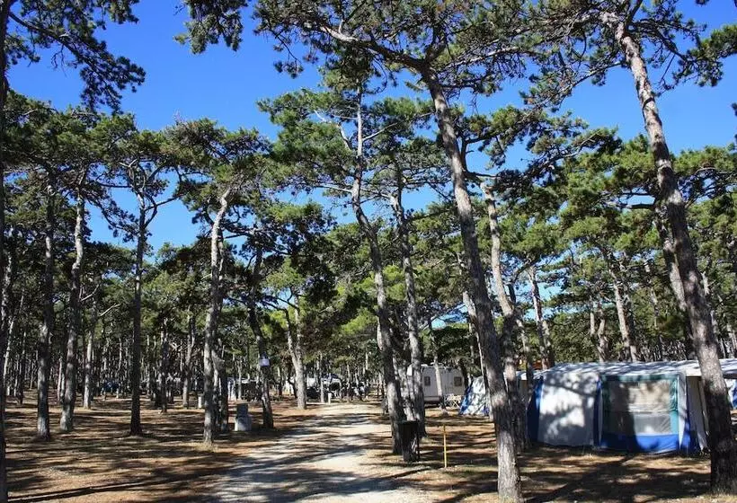 هتل Kamp Planik  Campsite