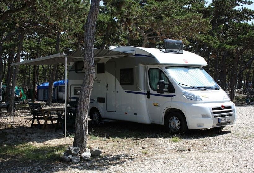 호텔 Kamp Planik Campsite