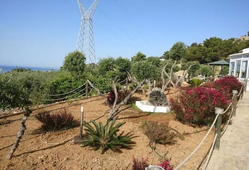 Villa Artemis