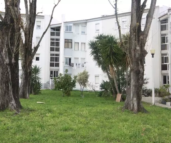 06 Olive Grove Apartment