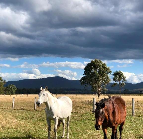 Charlotte Tiny House