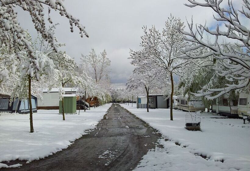 فندق Camping Los Cameros