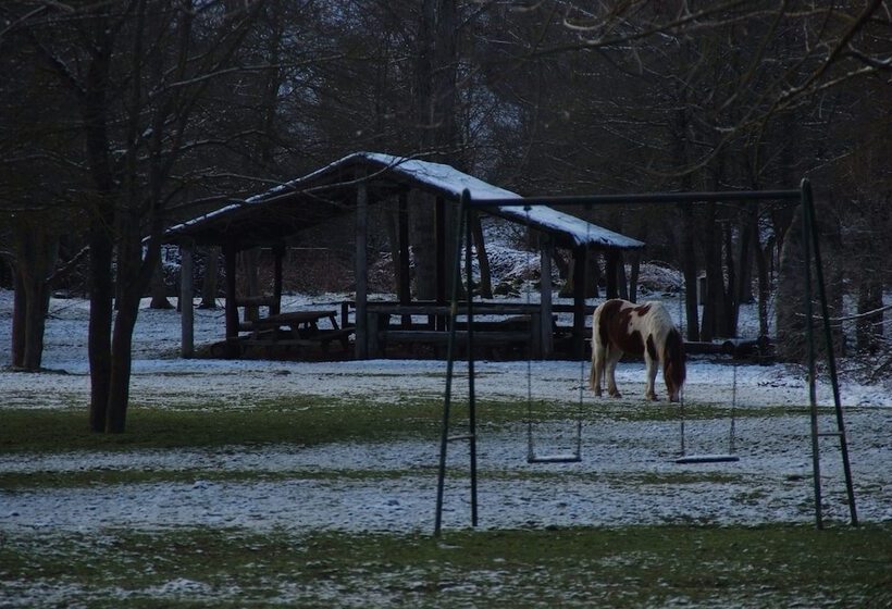 فندق Camping Los Cameros