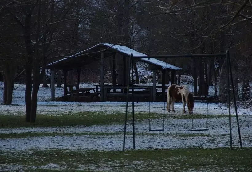 Hotelli Camping Los Cameros