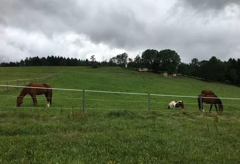 ホテル Aschberg Chalet