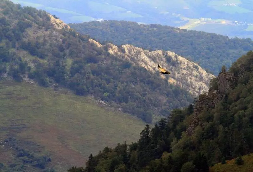 Aamiaismajoitus (B&B) Maison D Hôtes Et Campement Mariposa