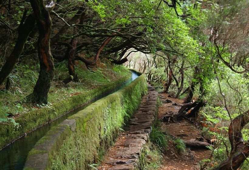 Calheta Holiday Houses