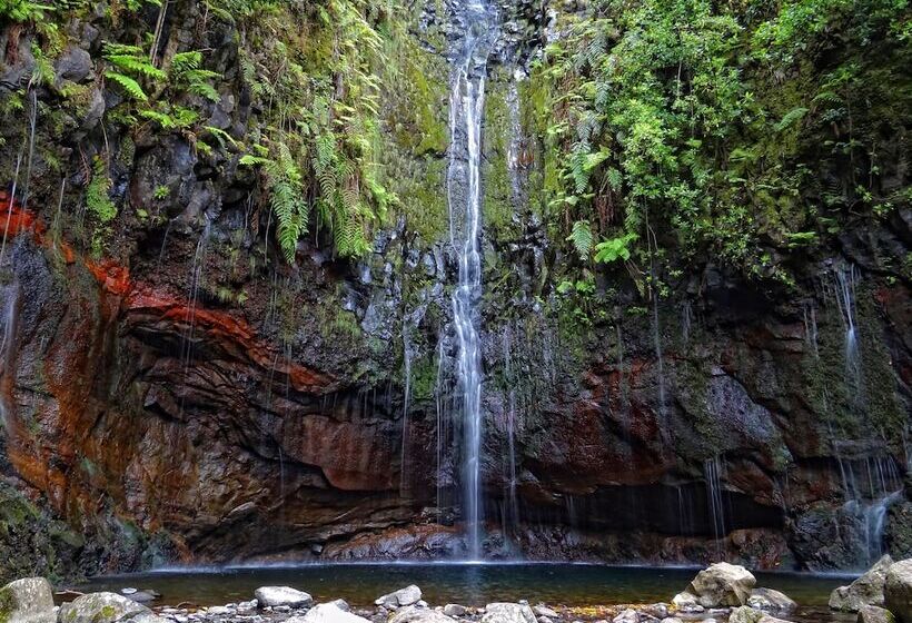 Calheta Holiday Houses