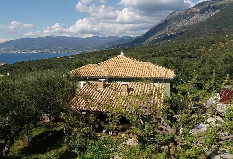 Enjoy A Stunning View In The City