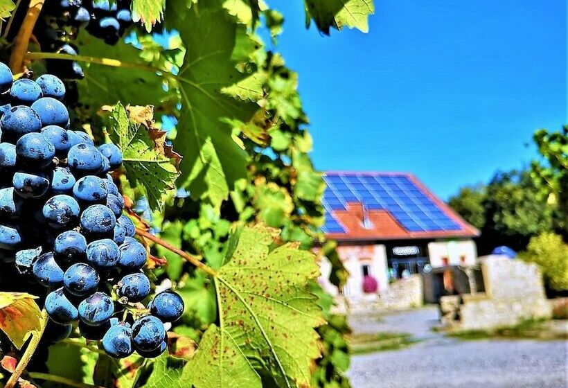 酒店 Camping Schwabenmühle