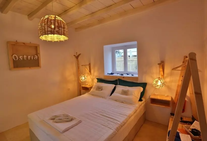 Maistrali Studio Ostria