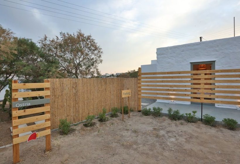 Maistrali Studio Ostria