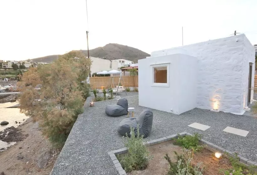 Maistrali Studio Ostria