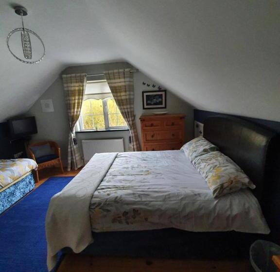 Highfield House Bed And Breakfast Collinstown