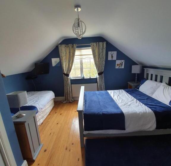Highfield House Bed And Breakfast Collinstown