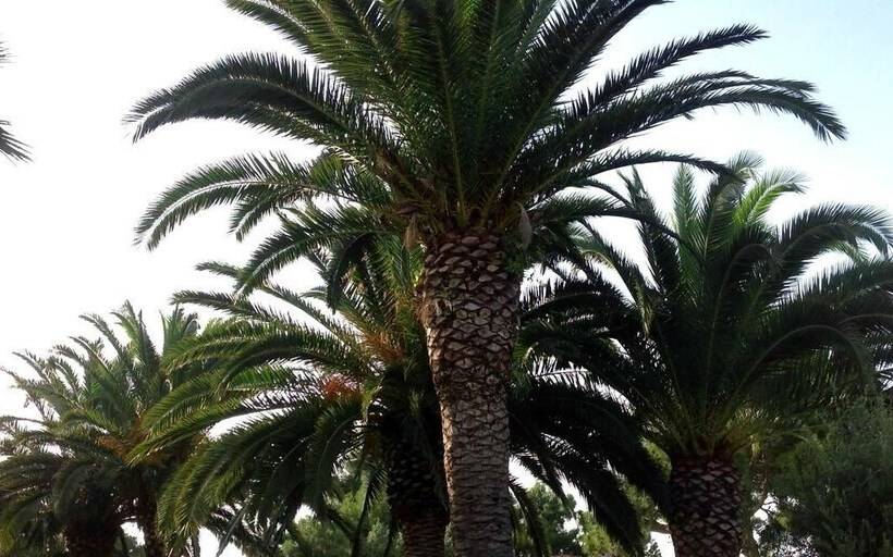 Luxury Residential Home Evangeli