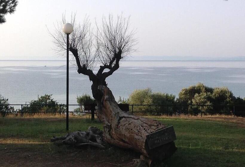 Luxury Residential Home Evangeli