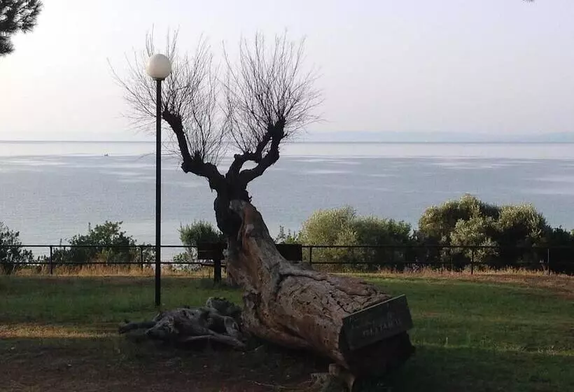 Luxury Residential Home Evangeli