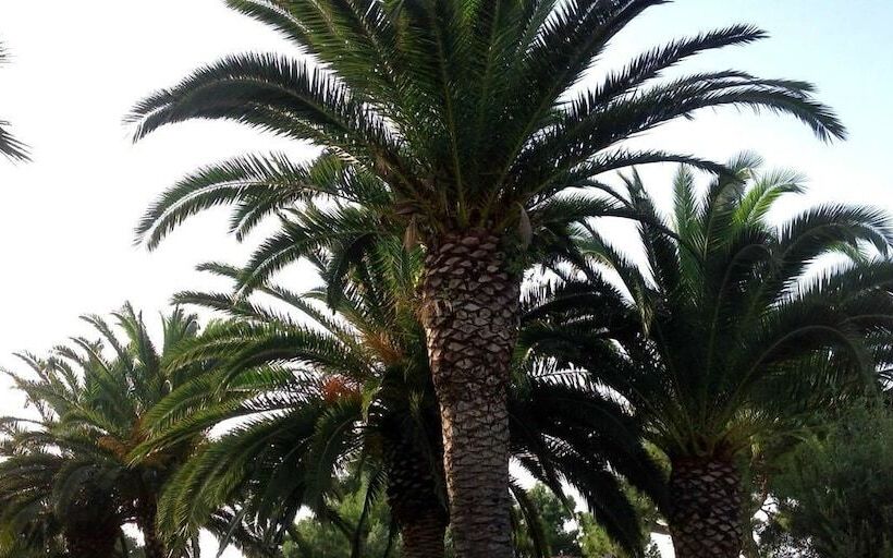 Luxury Residential Home Evangeli