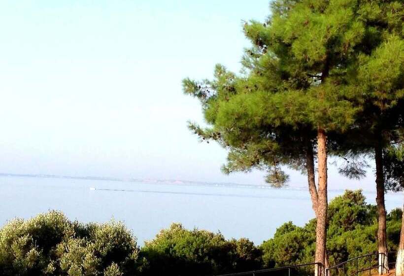 Luxury Residential Home Evangeli