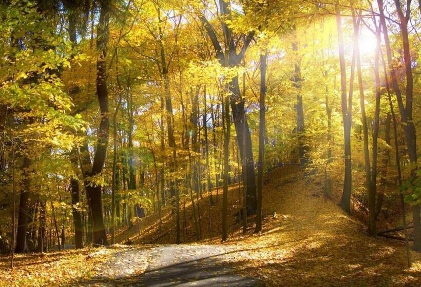 Urbanización El Río Dúplex El Río