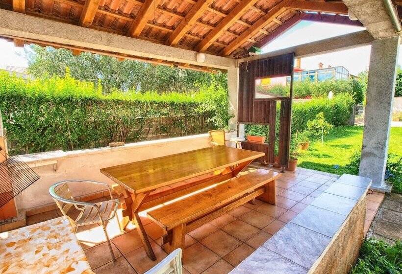 Apartment Brajdine 405