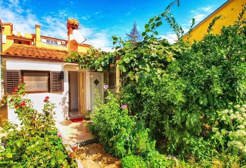 Apartment Brajdine 405