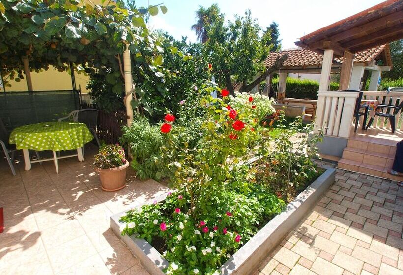 Apartment Brajdine 405