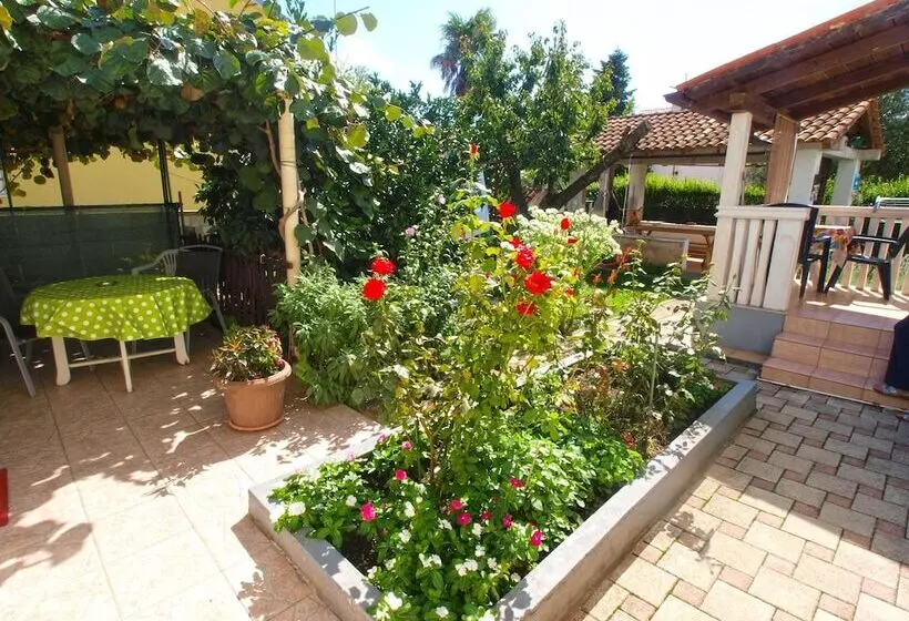 Apartment Brajdine 405