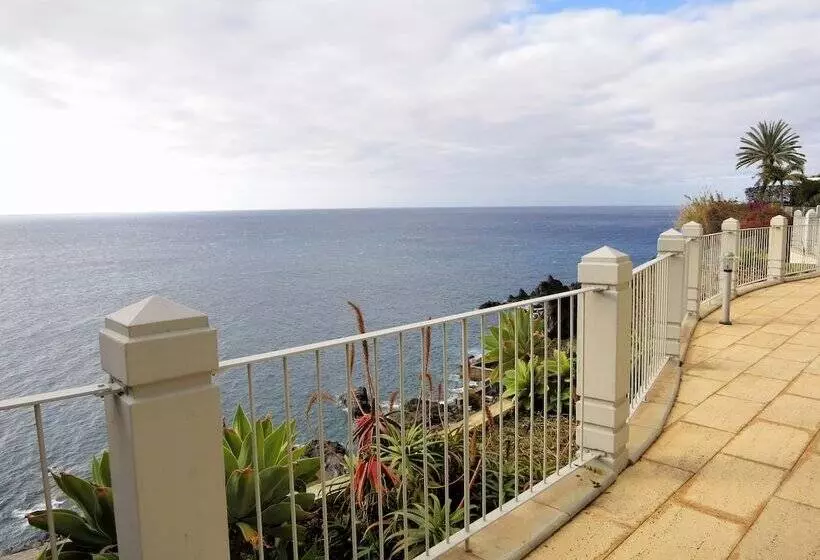 Superior Rentals In Madeira   Lido