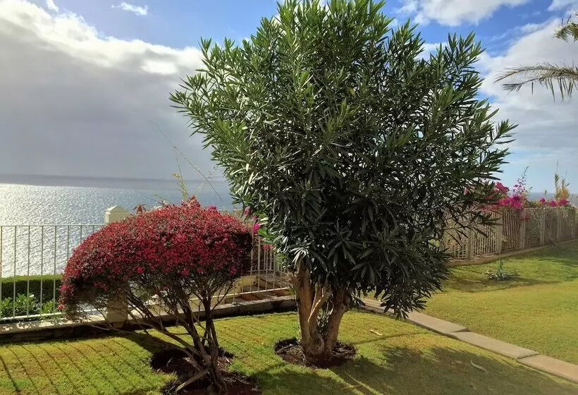 Superior Rentals In Madeira   Lido
