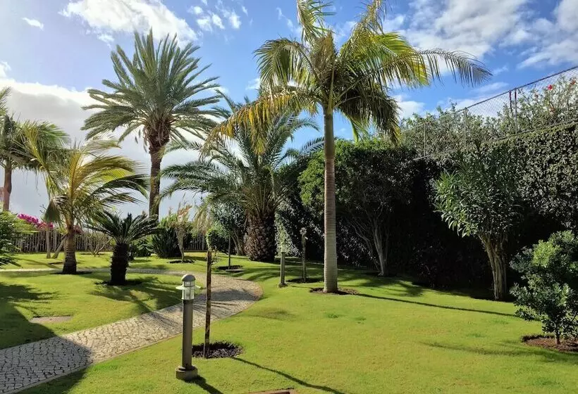 Superior Rentals In Madeira   Lido