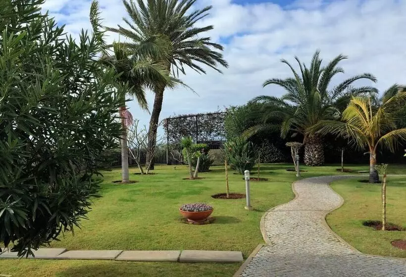 Superior Rentals In Madeira   Lido
