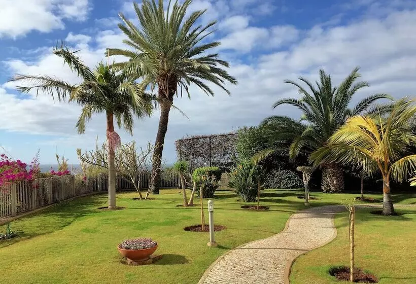 Superior Rentals In Madeira   Lido