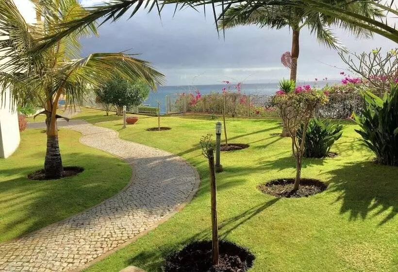 Superior Rentals In Madeira   Lido
