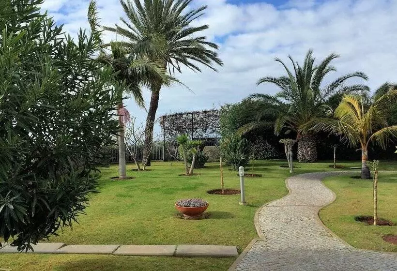 Superior Rentals In Madeira   Lido