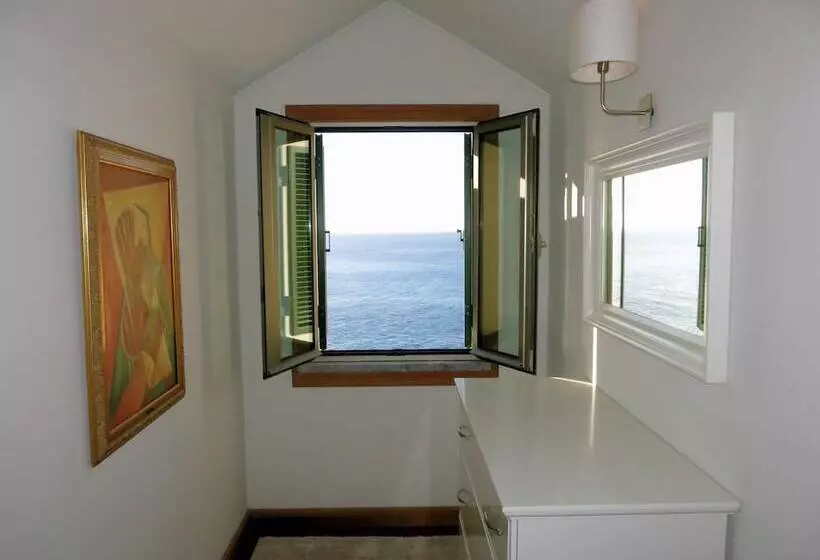 Superior Rentals In Madeira   Lido