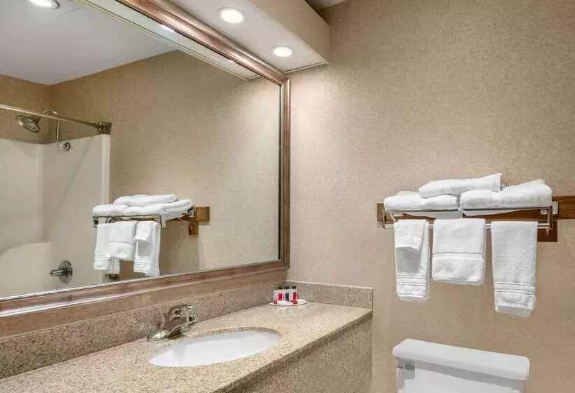 בית מלון כפרי Baymont By Wyndham Salida