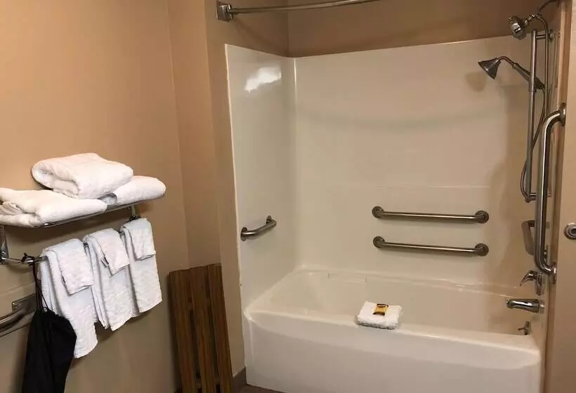 Отель Best Western Plus Coldwater