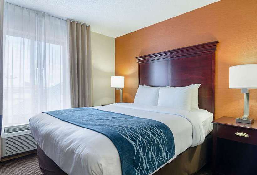 호텔 Comfort Inn & Suites