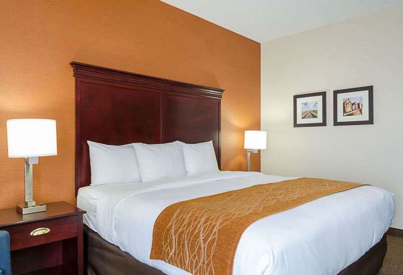 호텔 Comfort Inn & Suites