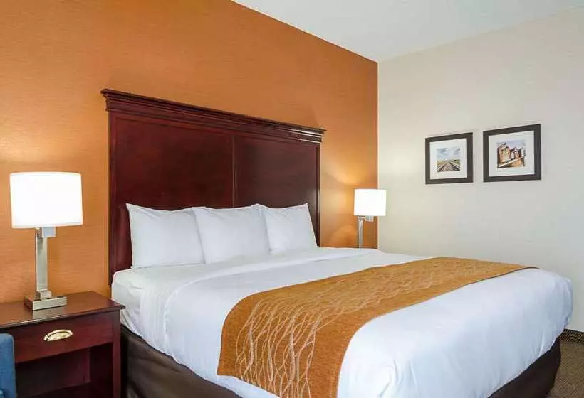 בית מלון כפרי Comfort Inn & Suites