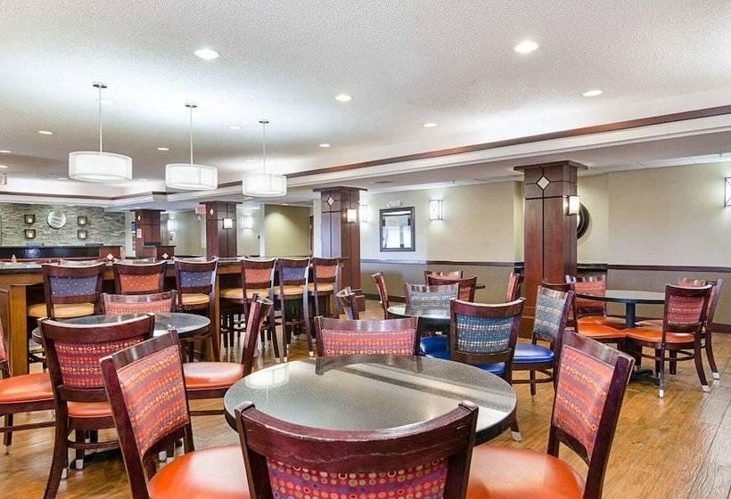 호텔 Comfort Inn & Suites