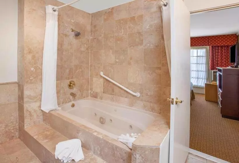 Отель Holiday Inn Laguna Beach, An Ihg