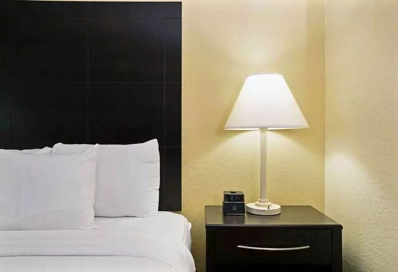 ホテル La Quinta Inn & Suites By Wyndham Salina