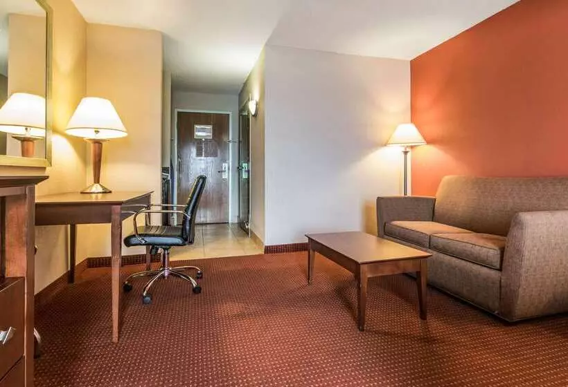 호텔 Quality Inn & Suites