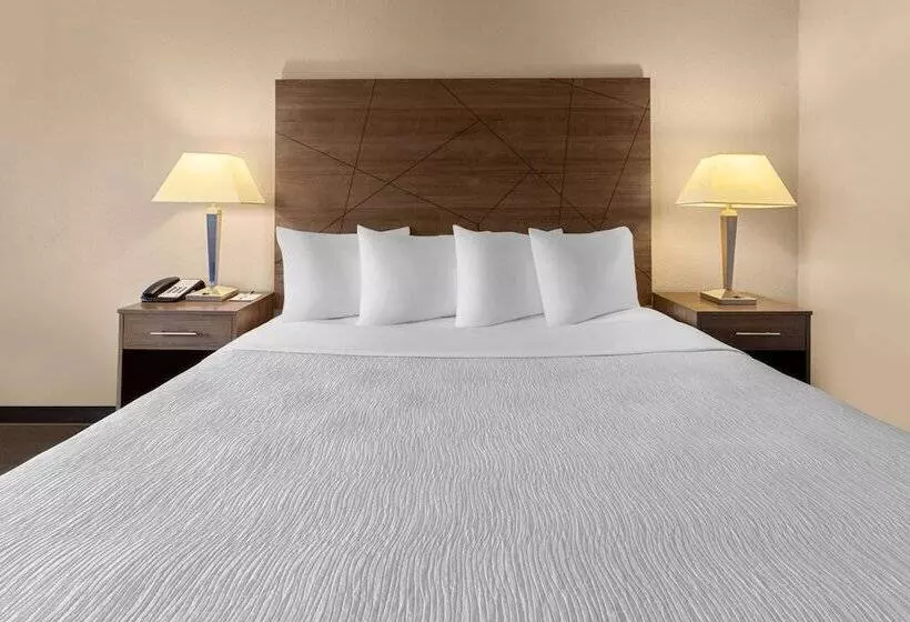 酒店 Wingate By Wyndham Troy