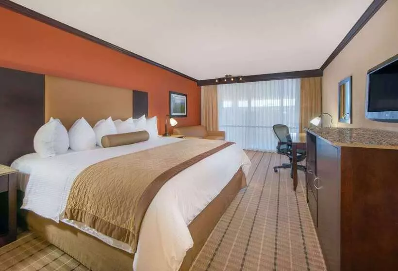 Wyndham Garden Oklahoma City Hotel & Conference Ctr Near Airport, Fairgrounds Paycom & I40