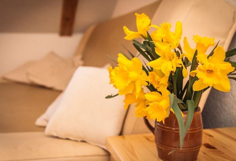 Apartments Fairy Land