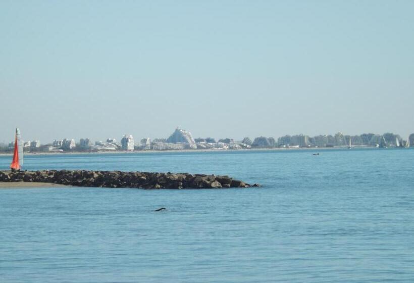 فندق Hôtel Le Carnon